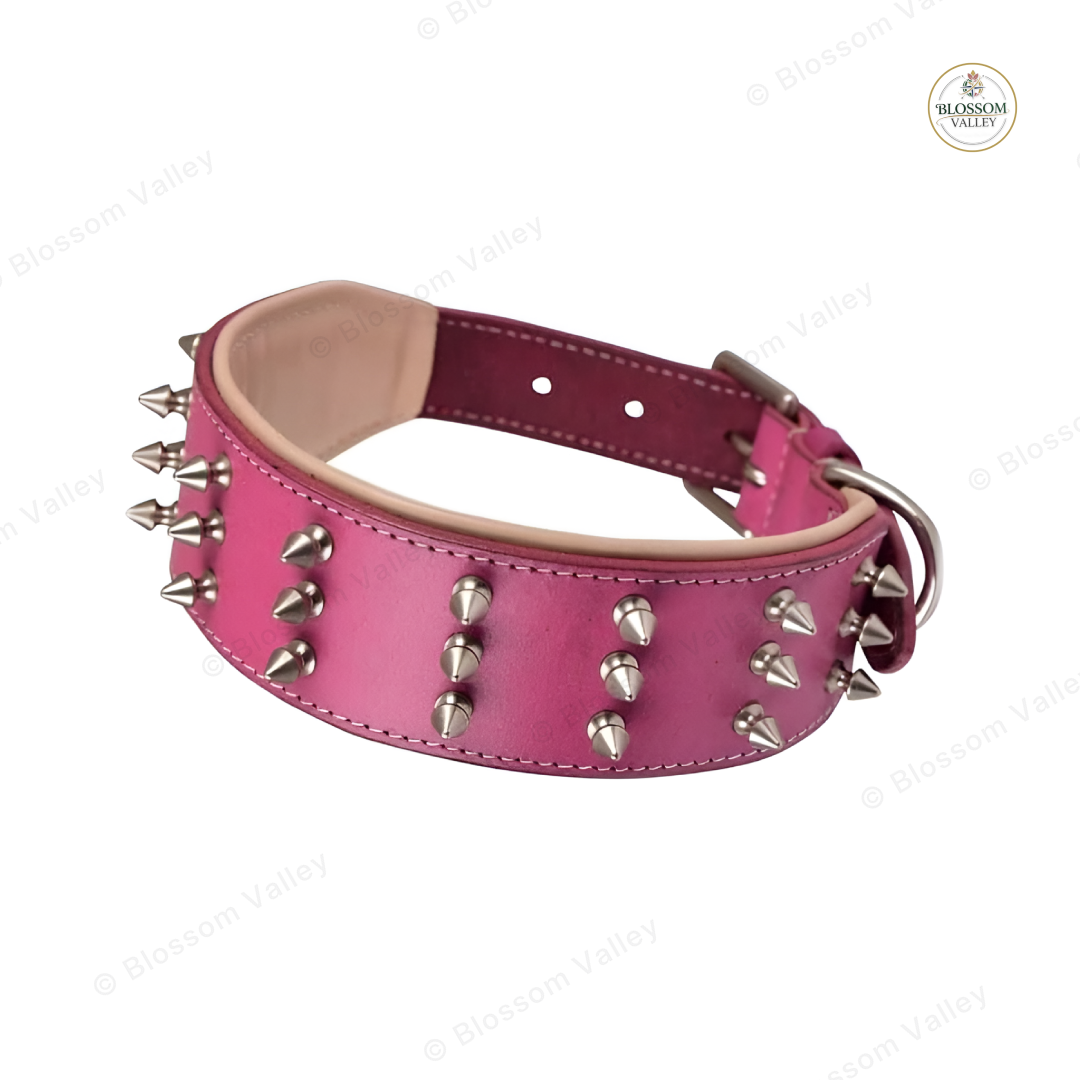 Aligned Spike Wide Dog Collar