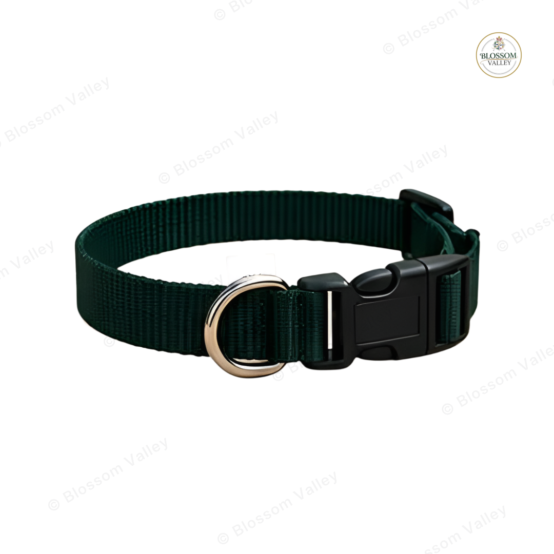 Plastic Buckle Webbing Dog Collar
