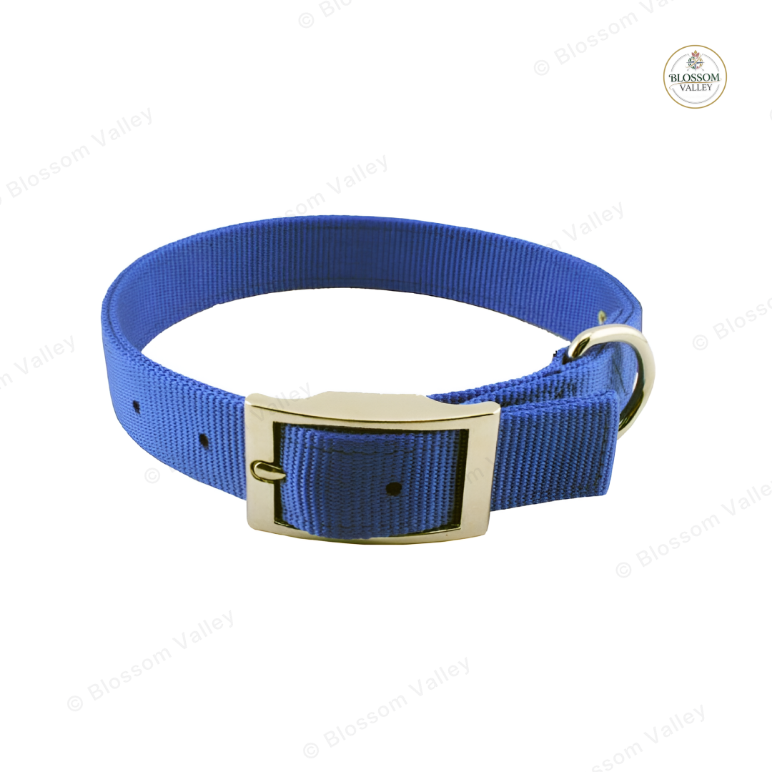 Nickel Buckle Webbing Dog Collar