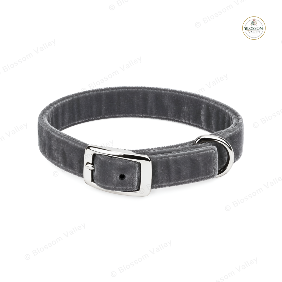 Slim Velour Buckle Dog Collar