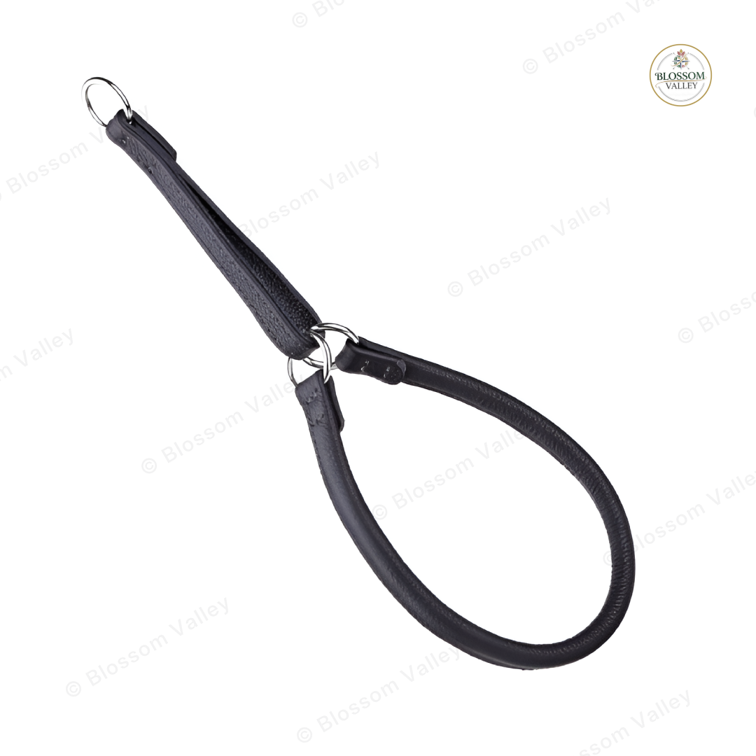 Round Leather Martingale Dog Collar