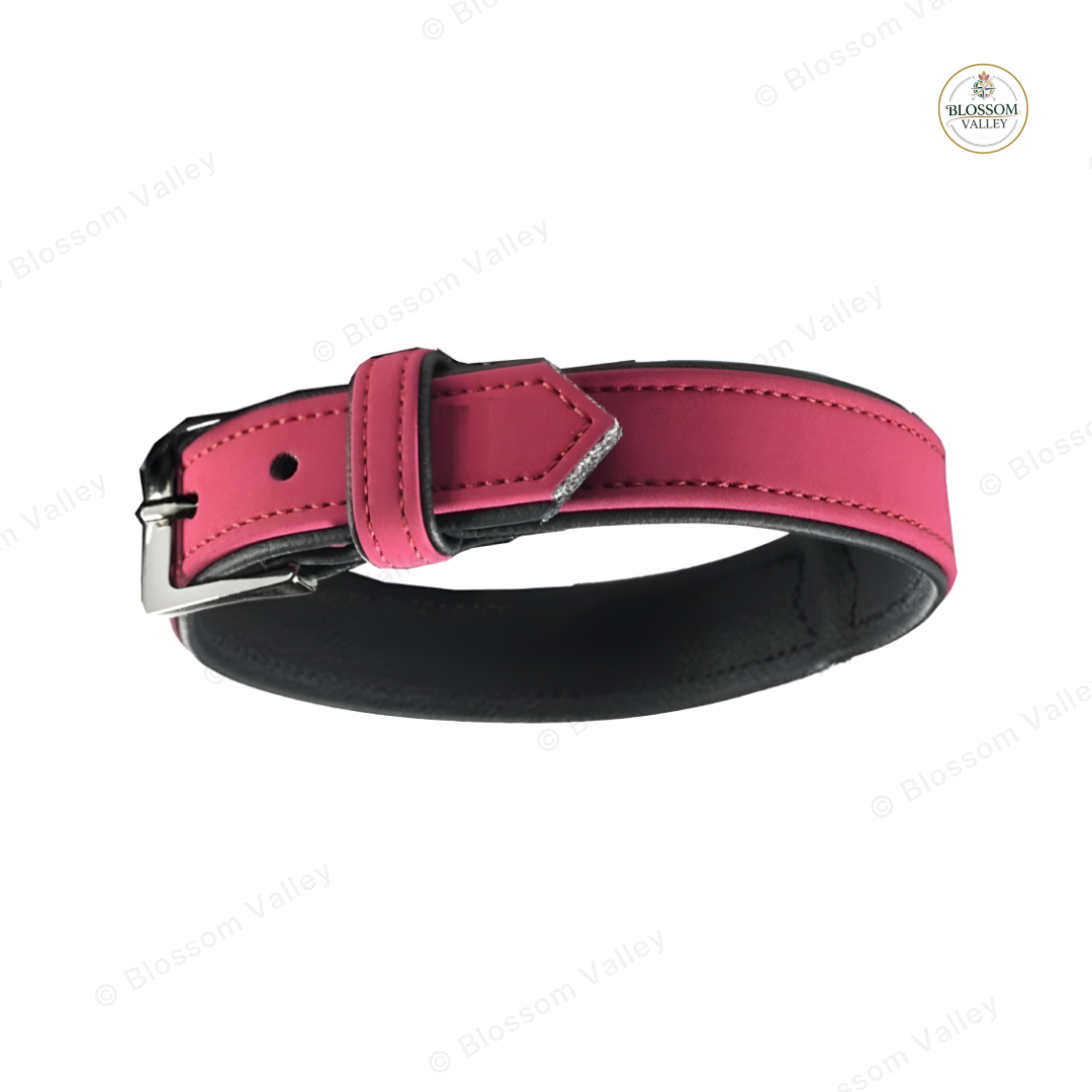 Padded Vegan Leather Dog Collar