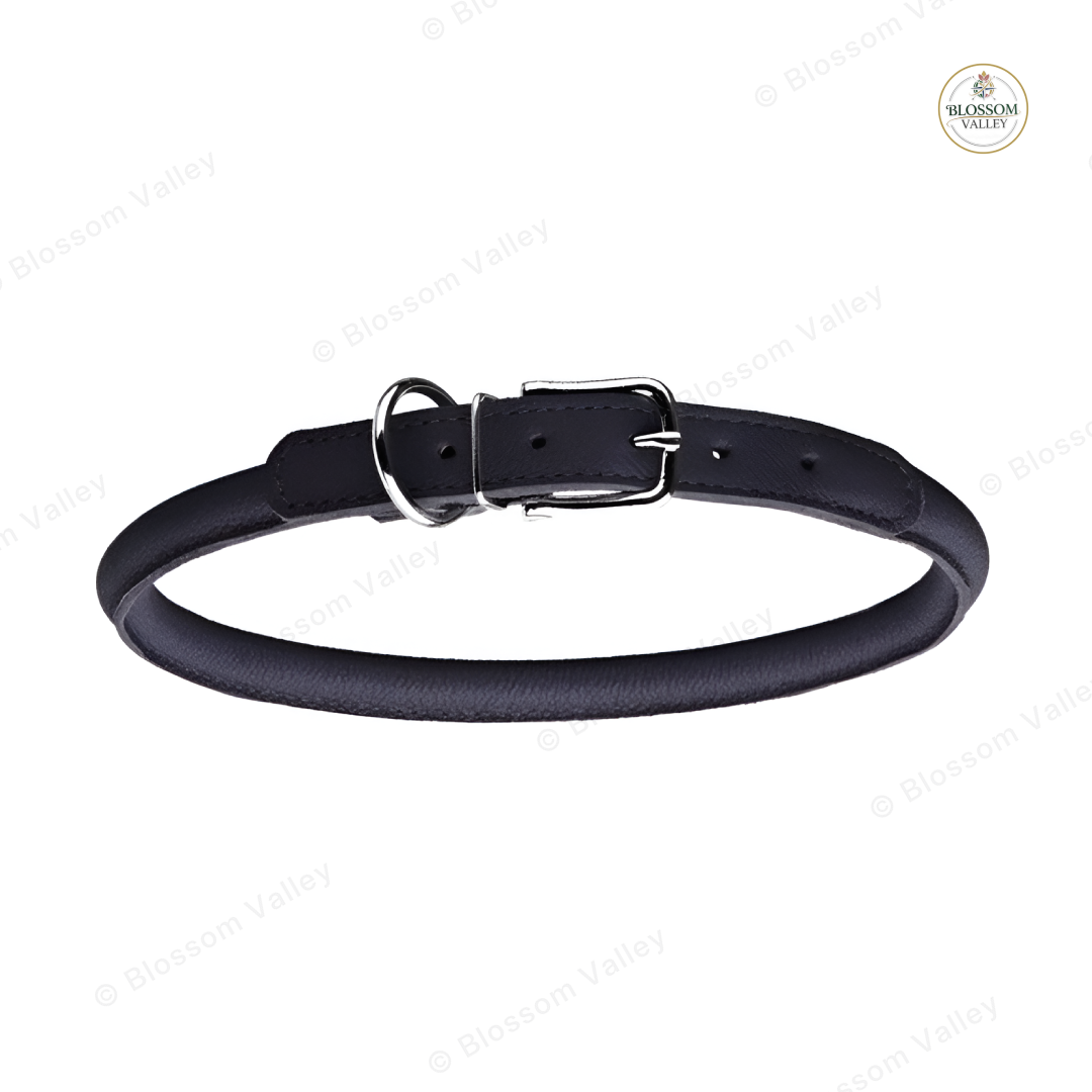 Rolled Leather Buckle Dog Collar — image 2 of 2