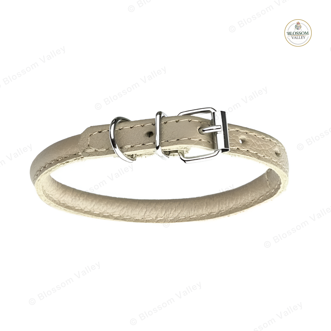 Rolled Leather Buckle Dog Collar — image 1 of 2