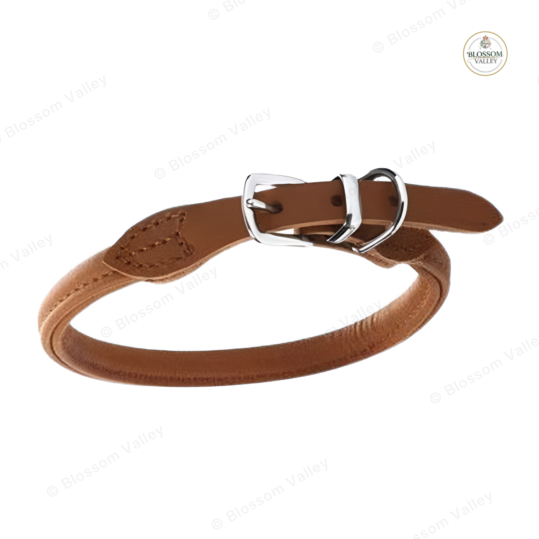 Rolled Leather Keeper Dog Collar