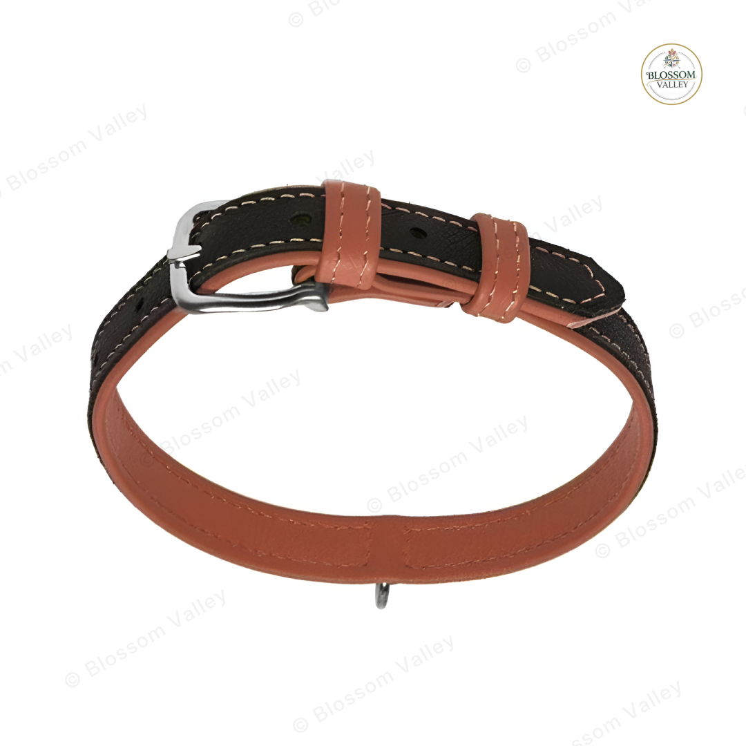 Padded Rexine Dog Collar