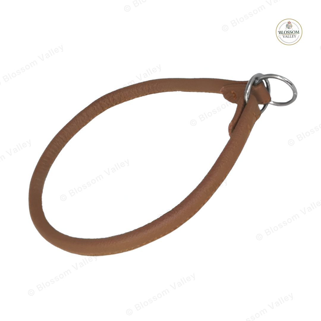 Round Leather Slip Dog Collar