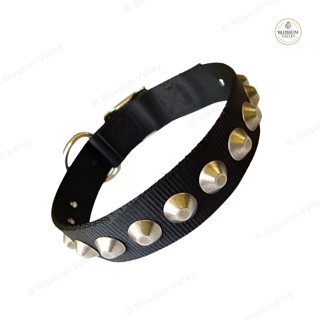 Cone Stud Webbing Dog Collar