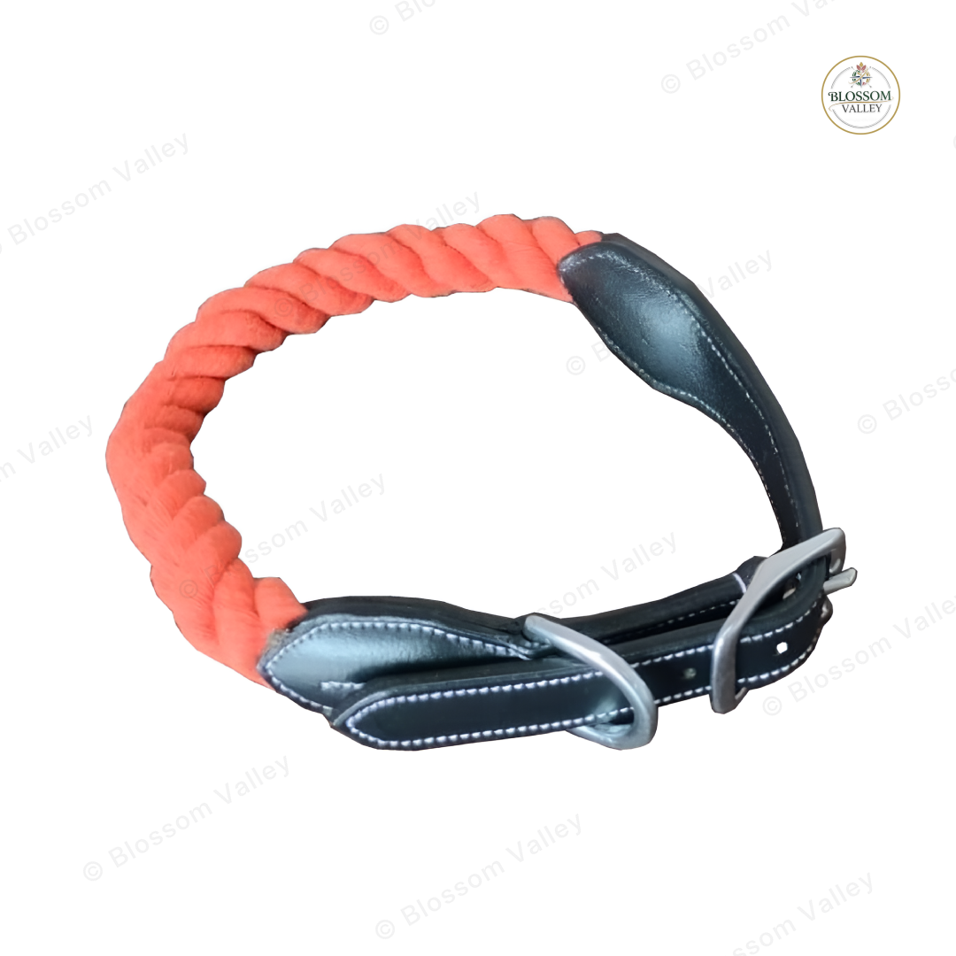 Leather Capped Rope Dog Collar