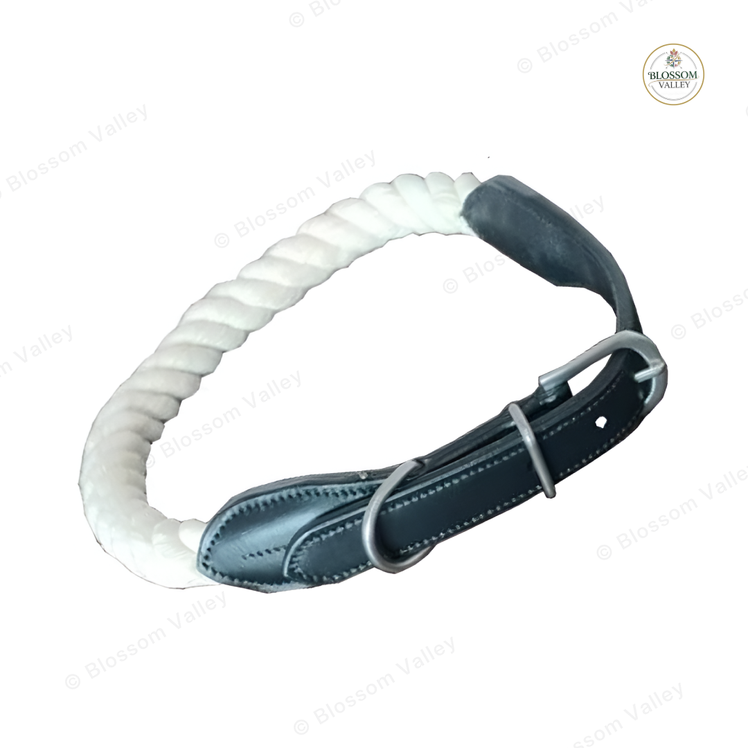 Leather Capped Rope Dog Collar — image 2 of 3