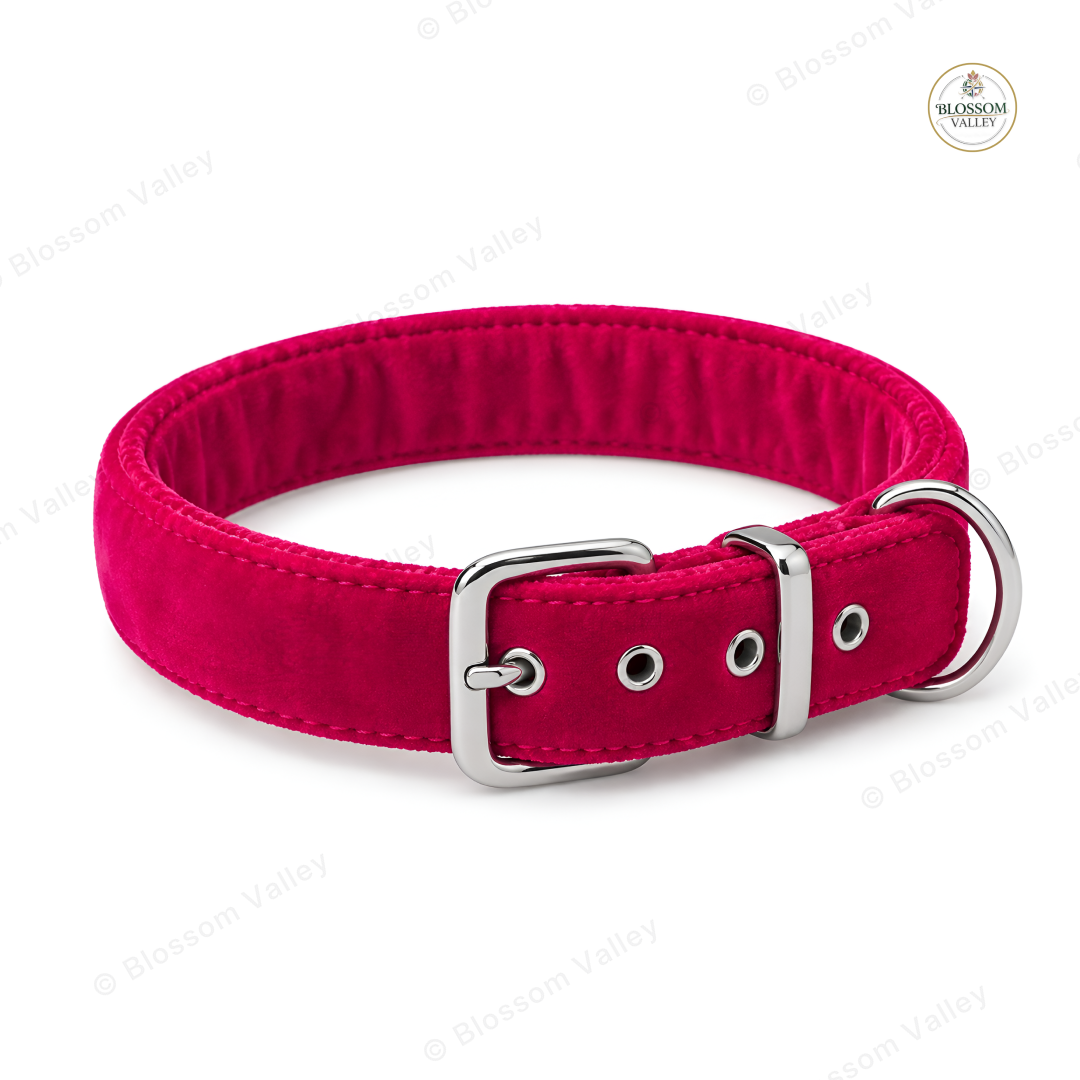 Padded Velour Dog Collar