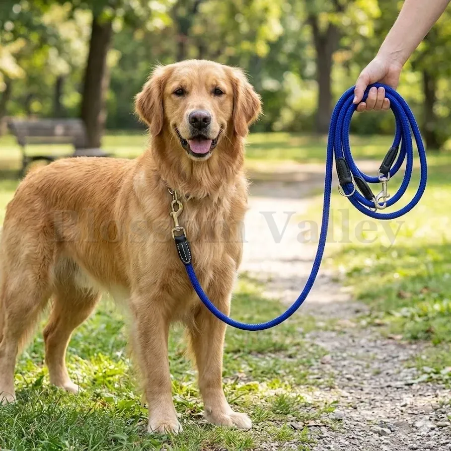 Round Training Lead — image 3 of 3