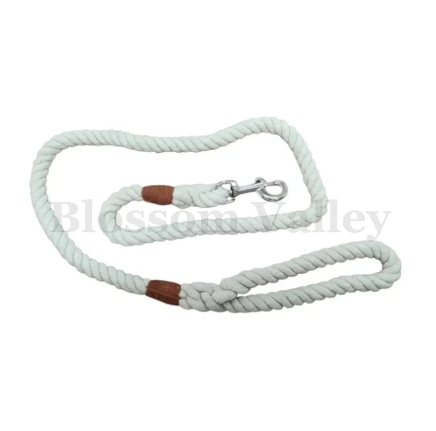 Braided Dog Lead — image 1 of 2