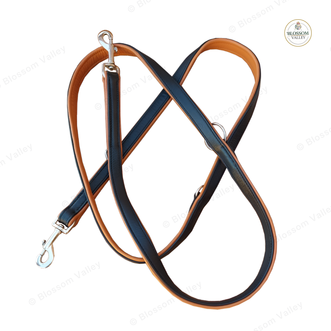 Padded Leather Training Dog Lead