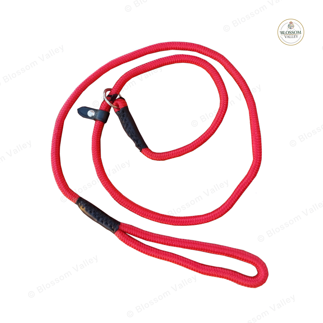 Nylon Retriever Dog Lead