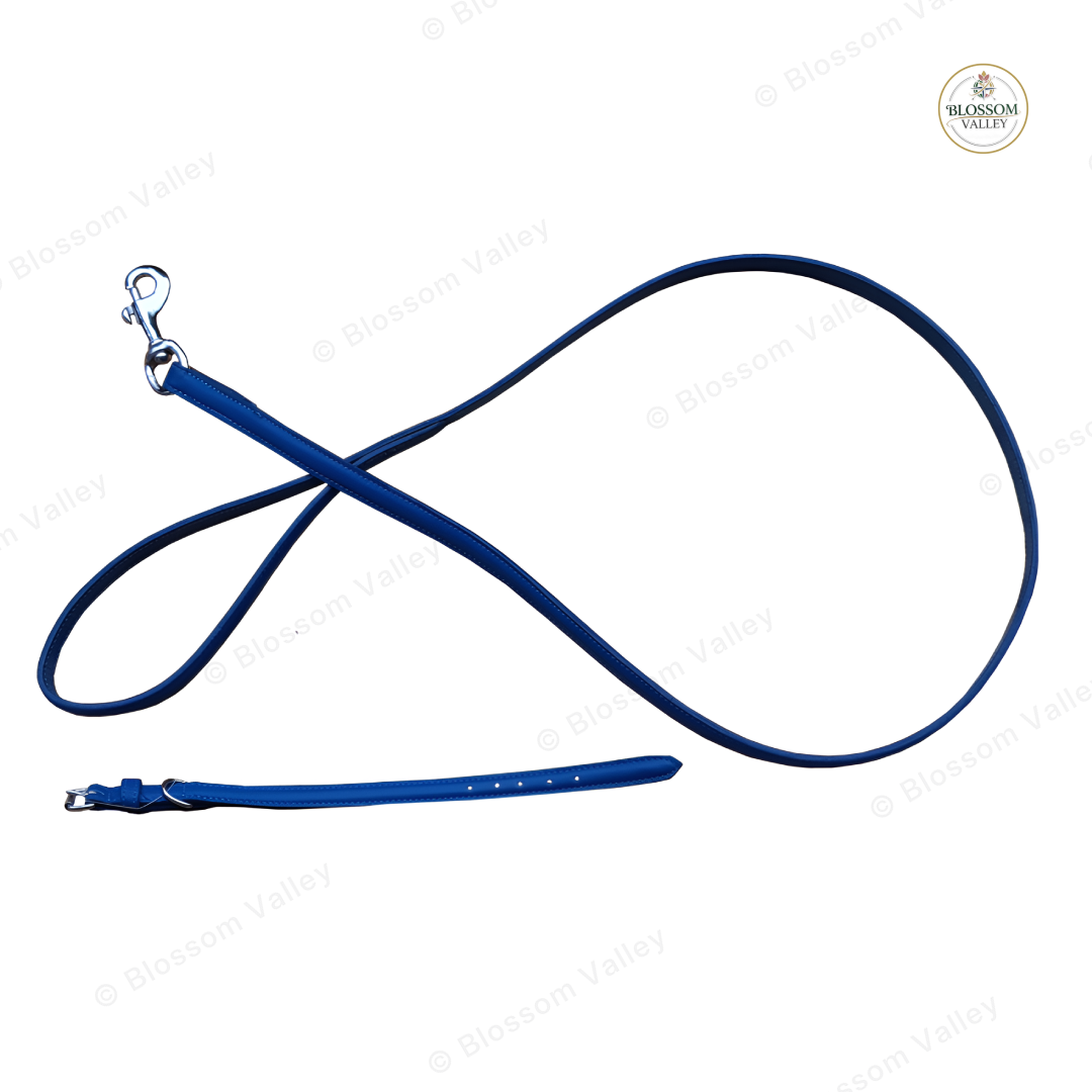 Leather Dog Collar and Lead Set