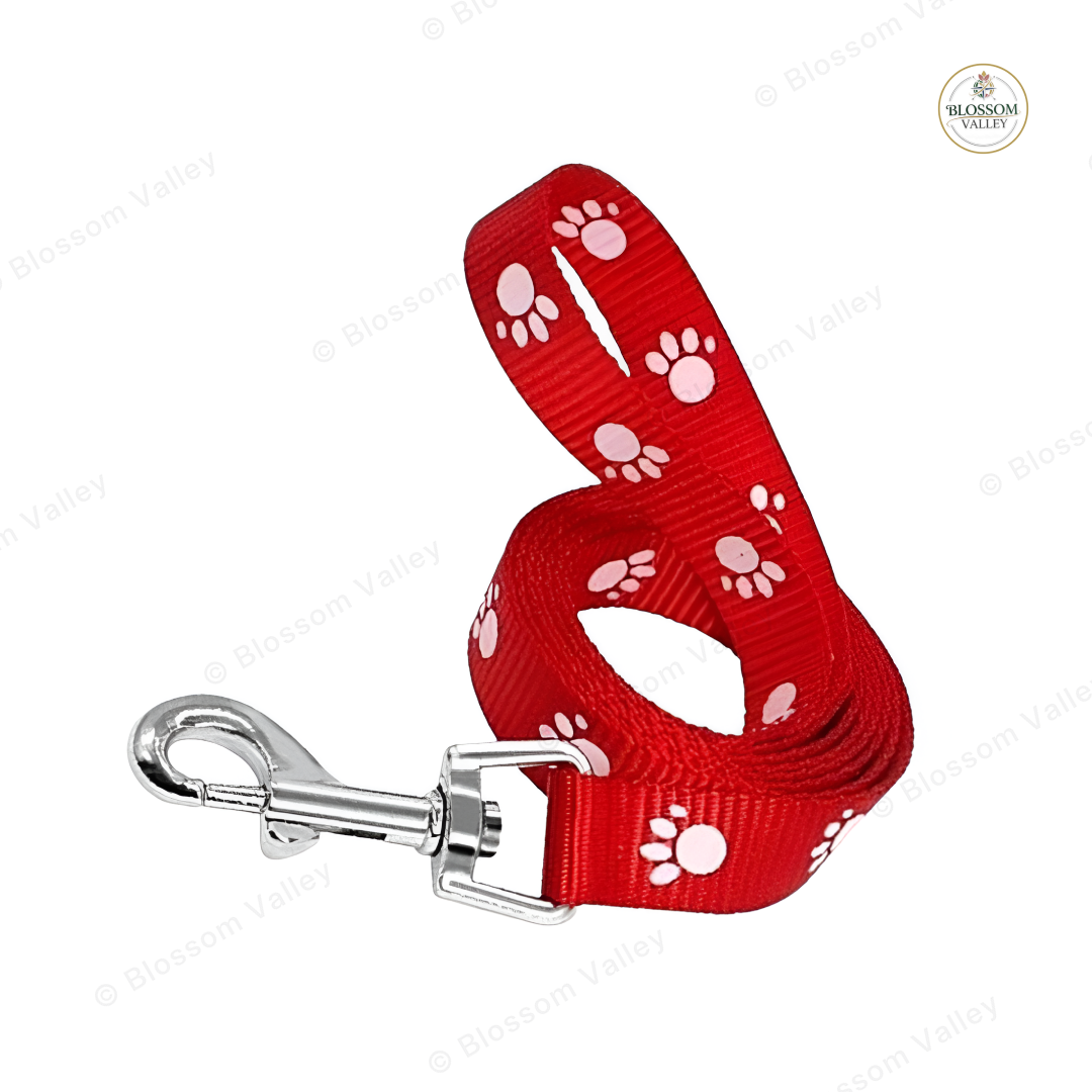 Paw Print Nylon Dog Lead