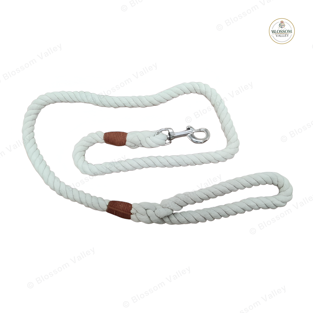 Twisted Cotton Rope Dog Lead