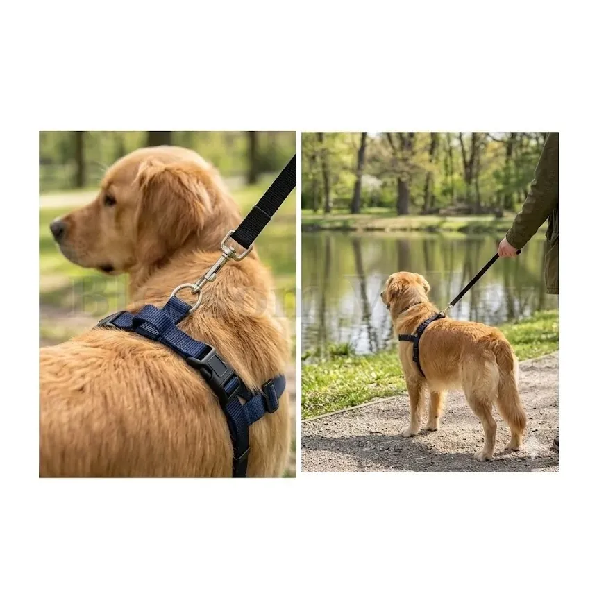 Dog Harness — image 2 of 2