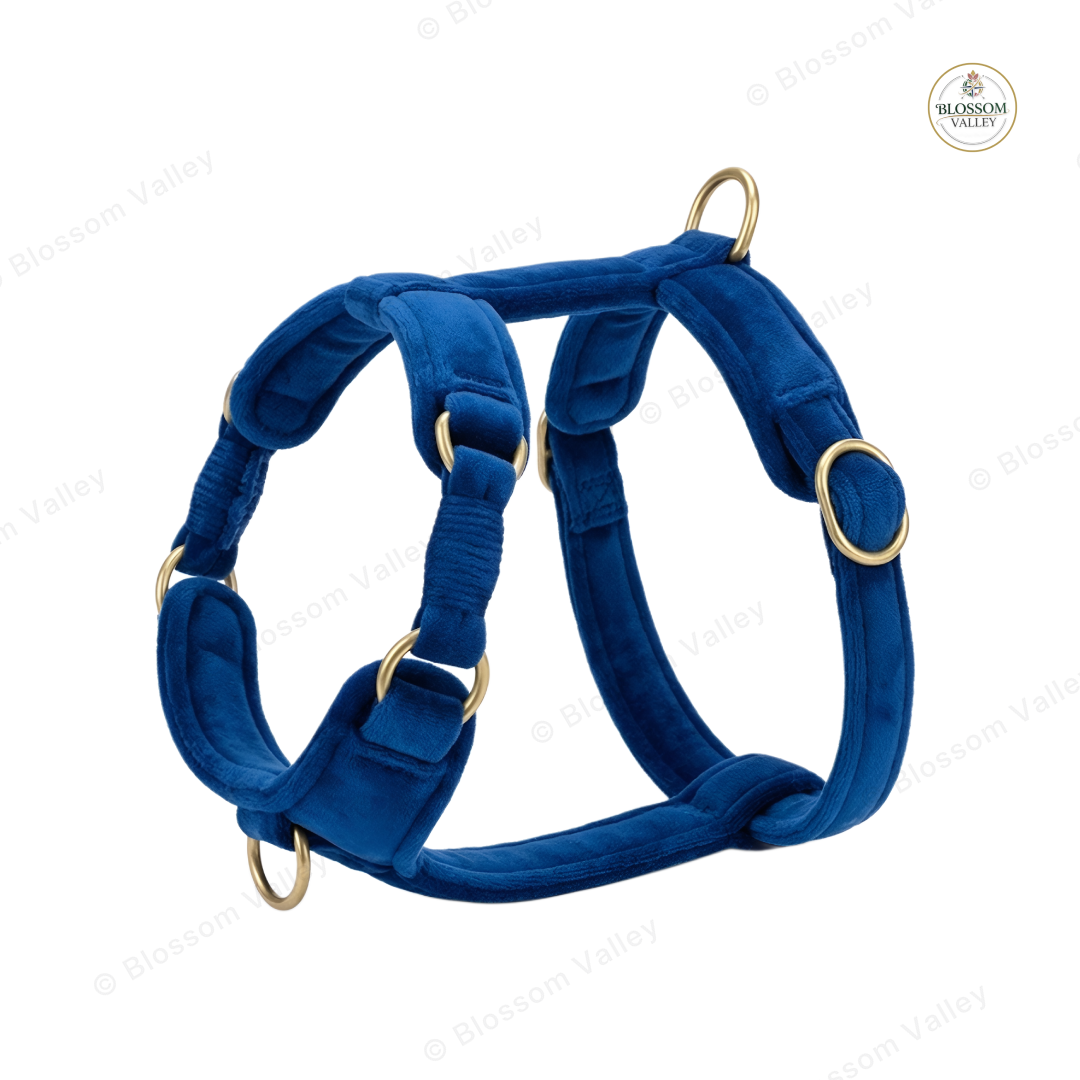 Padded Multi-Ring Dog Harness